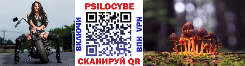 Псилоцибиновые грибы мицелий  Мыски 